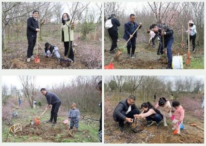 当“党建红”遇上“生态绿”丨博晟安全党支部组织开展植树节活动