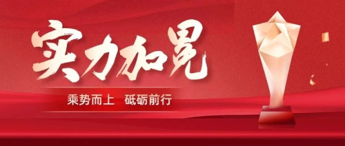 喜讯！博晟安全荣获“2024年软件和信息技术服务优秀企业”称号